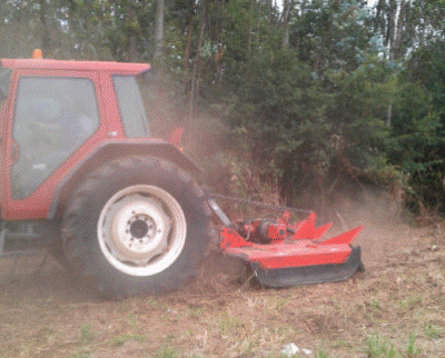 Acondicionado de finca mediante tractor con desbrozadora forestal – 01